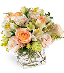 Cathy's flowers n treasures, port elgin. Gift Garden At Giant Eagle Floral Buffalo Rd Erie Pa 16510