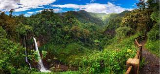 Ministry of health authorities are asking people to report any instances of the sale of unregulated alcohol or alcohol. Costa Rica Entdecken Mit Zeit Reisen Reiseprogramm Der Zeit