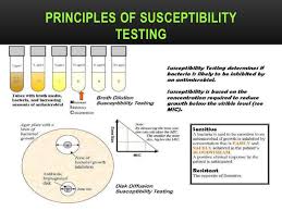 Kirby Bauer Antibiotic Sensitivity Testing