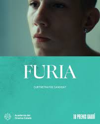 Furia es candidat als 18 Premis Gaudí! Quina emoció 🥹, Gràcies de tot cor  a l’Acadèmia del Cinema Català per aquesta oportunitat @academiacinecat i  gràcies a tot l’equip que ha fet possible arribar ...