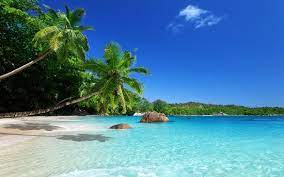 Die anse des salines im august 2015 Der Wohl Schonste Strand Martiniques Plage Des Salines Ste Anne Reisebewertungen Tripadvisor