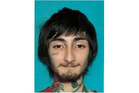 Suspect in July 4 shooting an alienated youth with dark online persona