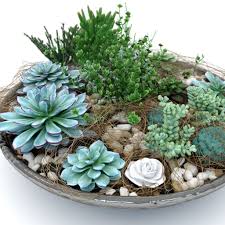 El envío gratis está sujeto al peso, precio y la distancia del envío. 10 Ideas De Deco Centros De Mesa Con Cactus Y Suculentas Suculentas Cactus Y Suculentas Arreglos Con Suculentas