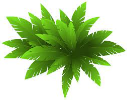 Green Plant Decoration Png Clipart Image Flower Png Images Flower Clipart Plant Decor