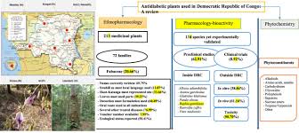 Image result for Crassocephalum picridifolium