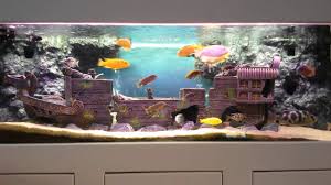 150 Cm Aquarium Youtube