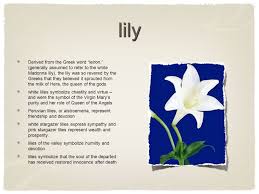 Popular in the victorian times, flowers were meant to symbolize a great deal of different emotions and served as a means of expression. Flowers Of The Handmaid S Tale English 4 Honors Tulip Common Name From The Turkish Word For Gauze With Which Turbans Were Wrapped Yellow Tulips Symbolizing Ppt Download