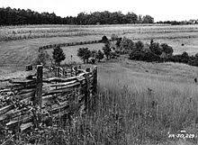 There are several kinds of wood that can be utilized for split rail fencing, including cedar (the most popular), pine, spruce and hemlock. Split Rail Fence Wikipedia