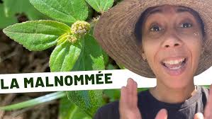 Jean-Robert Drouillard et les matériaux