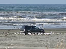 The Columbia River Long Beach Washington