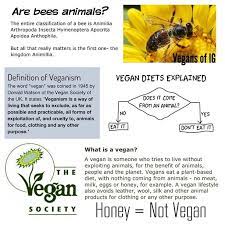 Vegans Of Instagram Honey Is Not Vegan If It Comes From An Animal