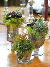 Friday Five Wedding Flowers On A Budget Succulent Centerpieces Plants Succulents In Containers