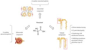 Image result for Foscarnet