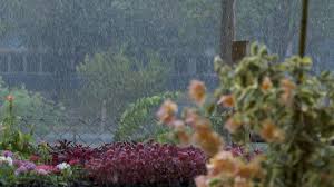 Setembro deve ter mais chuva e temperaturas amenas no Vale do Paraíba; veja a previsão para o mês
