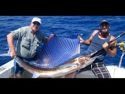 Westside dive & tackle is your best source for great diving, freediving, fishing & spearfishing equipment! Best On The Market Spearfishing Help