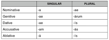 Test Latin Noun Endings Charts Quizlet