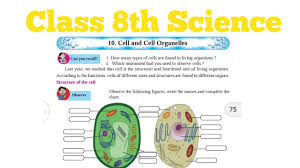 These notes will surely help you score good. Part 1 Class 8th Science Cell And Cell Organelles Youtube