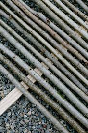 Sichtschutz Oder Unkonventionelle Rankhilfe Diy Sichtschutz Rankhilfe Naturliche Sichtschutzwand Gartenge Sichtschutzwande Gartengestaltung Sichtschutz Garten