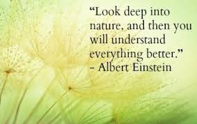 Albert Einstein And Nature Earth Day Quotes Powerful Quotes Nature Quotes