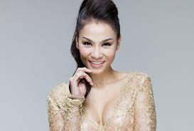 Nhạc sĩ muốn viết lại nghĩa của từ diva. Vi Sao Thu Minh Bá»‹ Chá»§ Ä'áº§u TÆ° CÄƒn Há»™ Cao Cáº¥p Dá»a Kiá»‡n