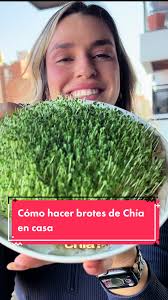 Descubre el poder de los brotes de chía en casa