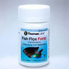 Fish Flox Forte Ciprofloxacin 500mg Antibiotic Pet Health Fish Antibiotics