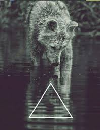 We did not find results for: Wallpaper Celular Tumblr 957489 Wallpaperuse