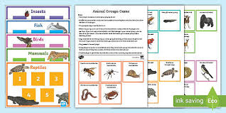 Explain the difference between radial and bilateral symmetry in animals, and give anexample of each type.2. Animal Groups Animal Classification Introduction Activity