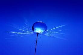 Choose from a curated selection of blue wallpapers for your mobile and desktop screens. 26 Cool Images Utilizing The Color Blue