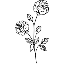 Vintage Flowers Rose 3 Liked On Polyvore Featuring Backgrounds Flowers Detail Embellishment And Filler Flower Drawing Vintage Flowers White Flower Png