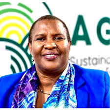 Three Reflections To Start the New Year and a New Role