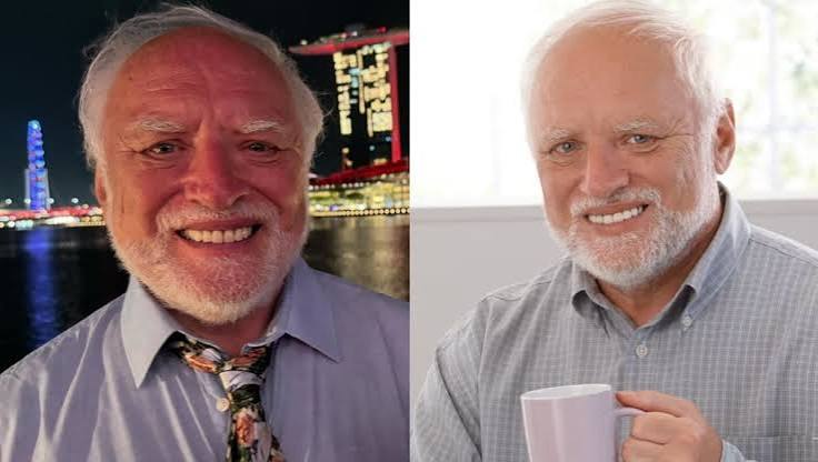 Man behind 'Hide The Pain Harold' meme is in Singapore for crypto event -  CNA Lifestyle