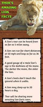 Thor The Lion Shares Amazing Facts About Lions And The Way They Live Lion Facts For Kids Lion Facts Lions For Kids