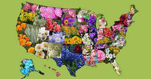 List Of Official American Us State Flowers