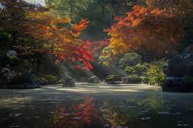 We did not find results for: 100 Zen Garden Pictures Hd Download Free Images On Unsplash