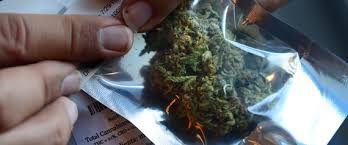 Does marijuana cause hair loss? Marijuana Might Be Affecting Your Skin And Not In The Ways You Thought Huffpost Life