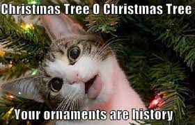 Omg Cats And Christmas Trees Christmas Memes Funny Funny Cats Funny Animals