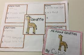 Animal Report Mini Books For Primary Students Contains Webs And Mini Books For 36 Common Animals Primary Students Kindergarten Science Kindergarten Projects