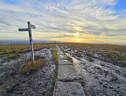 Break out the golden badgers!