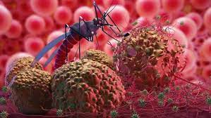 Malaria.com is a comprehensive malaria information resource: Have You Heard The Buzz About The New Malaria Prevention Drugs