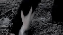 Https Encrypted Tbn0 Gstatic Com Images Q Tbn And9gctdjyopzy8uroifhnuticaao Y1vxenb9drfw Usqp Cau