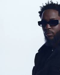 Firm Studio (@firm_studio) • Instagram photos and videos