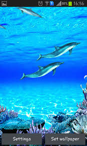 Download letasoft sound booster for windows & read reviews. Dolphins Sounds Live Wallpaper For Android Dolphins Sounds Free Download For Tablet And Phone