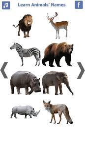 وحيد القرن الأبيض (الاسم العلمي: ØªØ¹Ù„ÙŠÙ… Ø§Ø³Ù…Ø§Ø¡ ÙˆØµÙˆØ± ÙˆØ§ØµÙˆØ§Øª Ø§Ù„Ø­ÙŠÙˆØ§Ù†Ø§Øª Ø¨Ø§Ù„Ø§Ù†Ø¬Ù„ÙŠØ²ÙŠ Android Ø§Ù„ØªØ·Ø¨ÙŠÙ‚ Apk Air Learnanimalsnamesenglish Ø¨ÙˆØ§Ø³Ø·Ø© Flash Toons ØªØ­Ù…ÙŠÙ„ Ø¹Ù„Ù‰phoneky