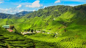 Apa waktu sholat hari ini cameron park? 2h1m Makan Angin Cameron Highlands Ground Tripfez Travel
