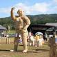 Satomi Scarecrow Festival event image
