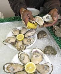 (f) every weekend, we go to the beach to collect oysters.todos los fines de semana, vamos a la playa a buscar ostras. Climate Change May Drastically Alter Chesapeake Bay Scientists Say Smithsonian Insider