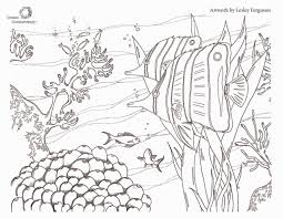 Click on the coloring page to. Sustainable Fisheries Fish Coloring Pages Ocean Conservancy
