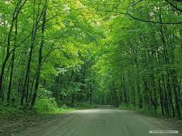 Google Image Result For Http Www Dream Wallpaper Com Free Wallpaper Nature Wallpaper Road Wallpaper 1024x7 Beautiful Photos Of Nature Nature Nature Wallpaper