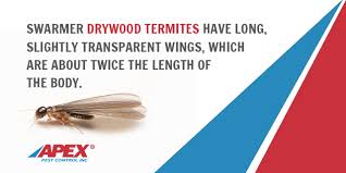 If you do not have a pest control license, you can still purchase the same products that are sold to professional pest control companies. Termite Removal Archives Orlando Tampa Pest Control